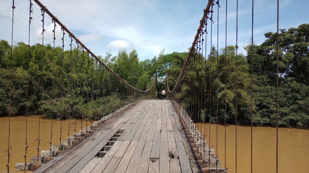 Wooden suspension bridge over a river, surrounded by vegetation
